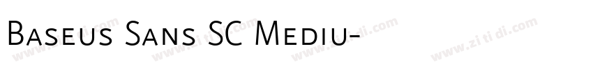 Baseus Sans SC Mediu字体转换